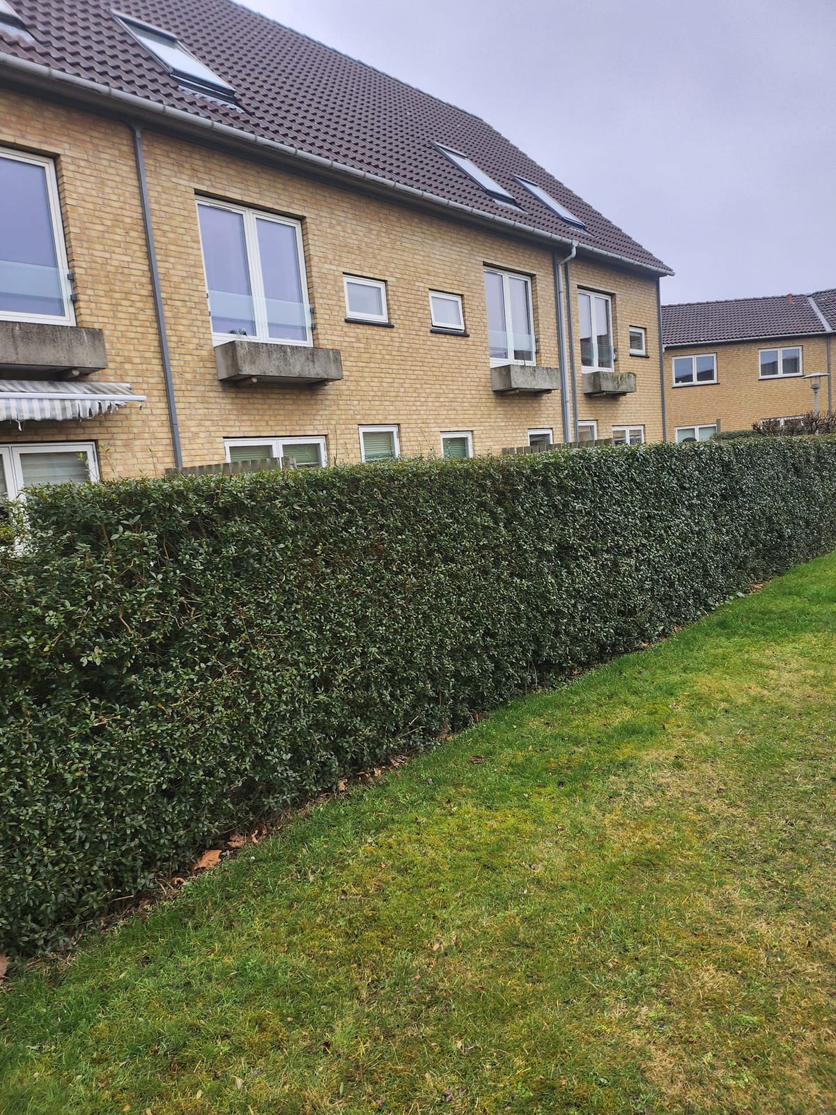 Ordnet beplantning langs ejendom efter rydning af bevoksning
