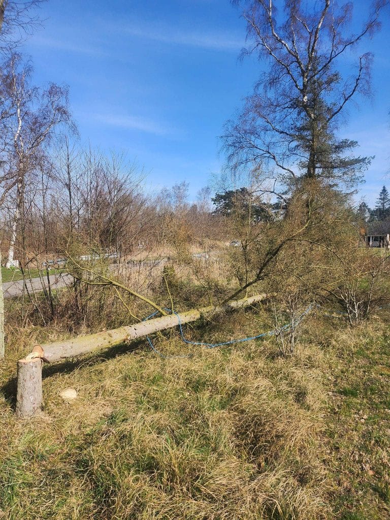 Jatoba vicevært udfører tilsyn