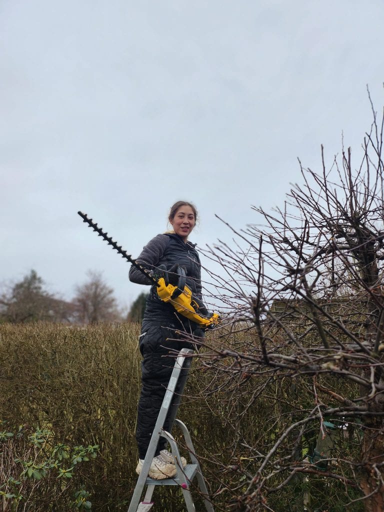 Havemand fra Jatoba i gang med beskæring